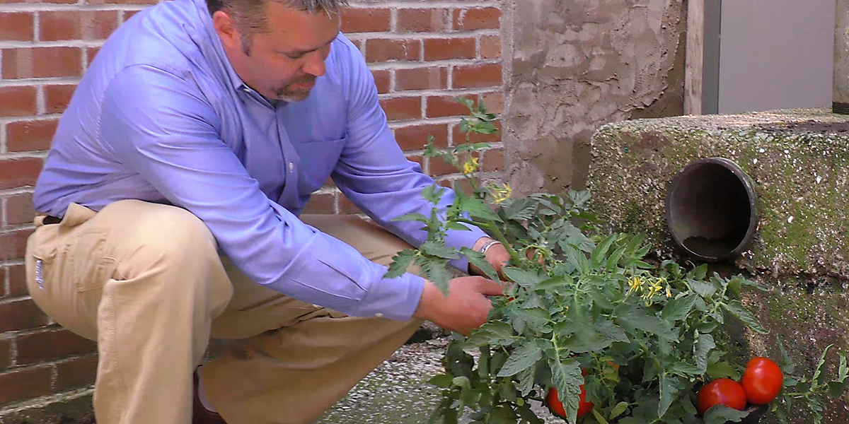 8 Ways to improve your dumpster efficiency