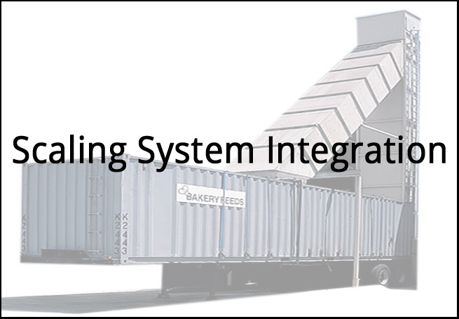 Scaling System Integration